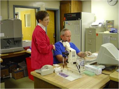Picture of a female and male Laboratory Services Staff standing and sitting in front of a computer.